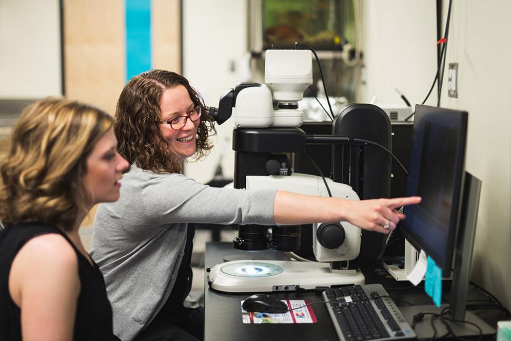 教授. Andrea Henle helps a student with a research project. Because Carthage is a college with sm...