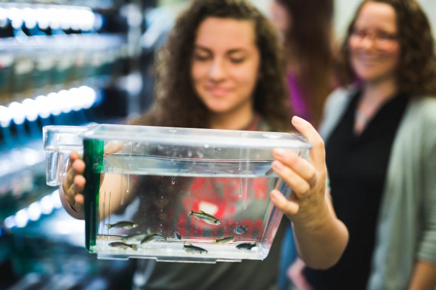 A student conducts summer research on zebrafish with 博彩网址大全 Professor Andrea Henle.